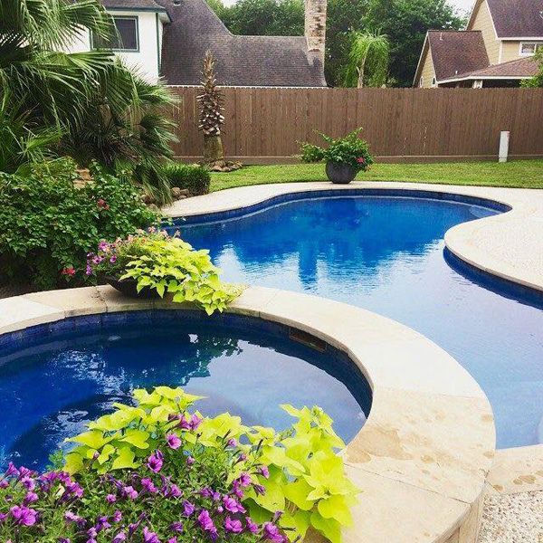 Houston pool and spa with a spillway and planted beds