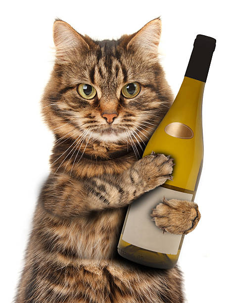 Cat with wine image.jpg