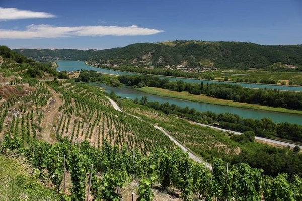 Southern Rhone image.png