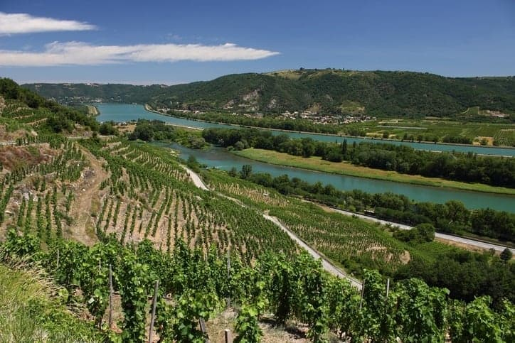 Southern Rhone image.png