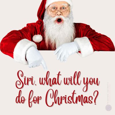 Christmas (14).jpg