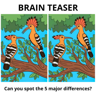 33.png
