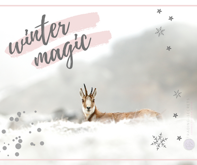 Blue And White Simple Hello Winter Facebook Post (34).png