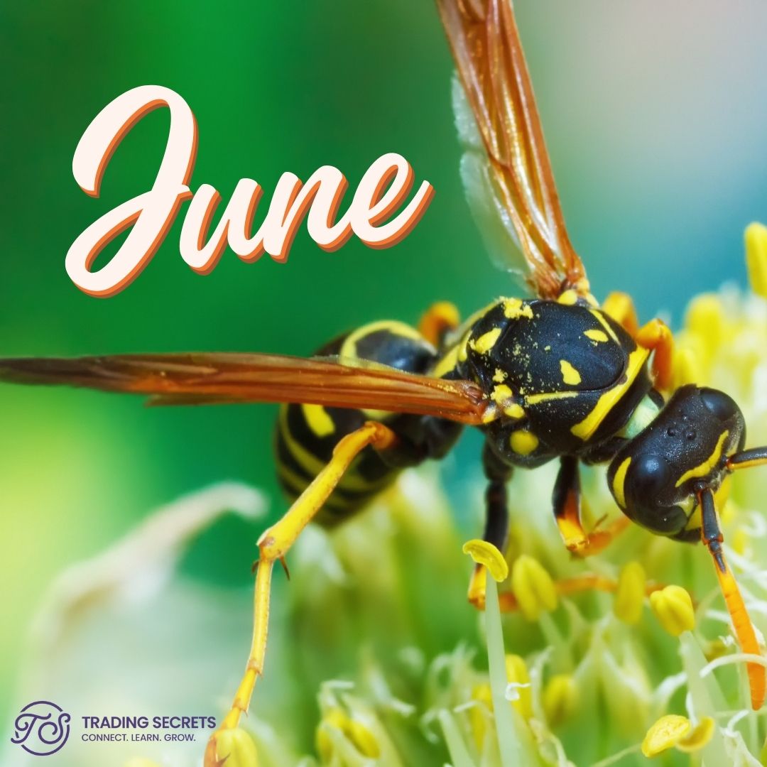 June.jpg
