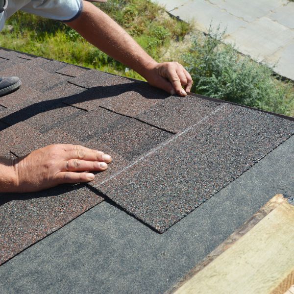 Contractor placing shingles on roof