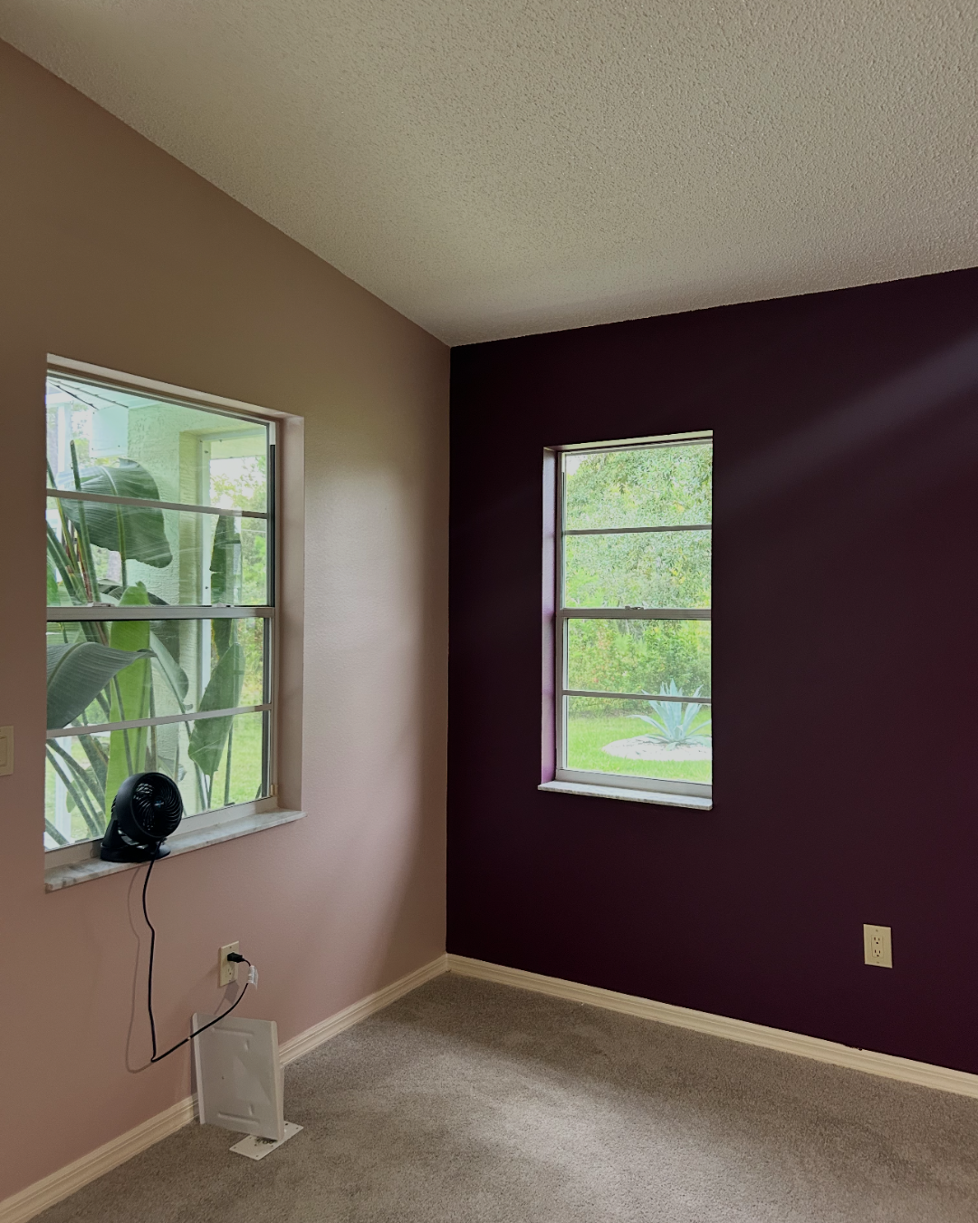 Untitled design (70).png