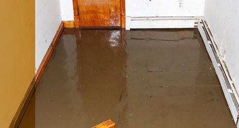standing floodwater in basement