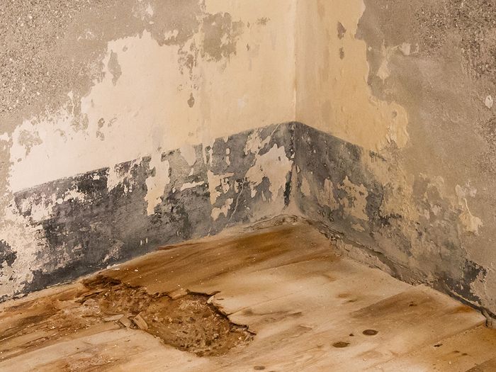  Water damaged floor and wall, leakage in an old building
