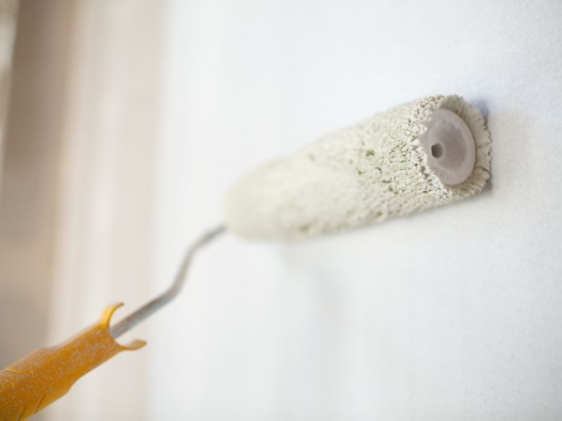 Paint roller