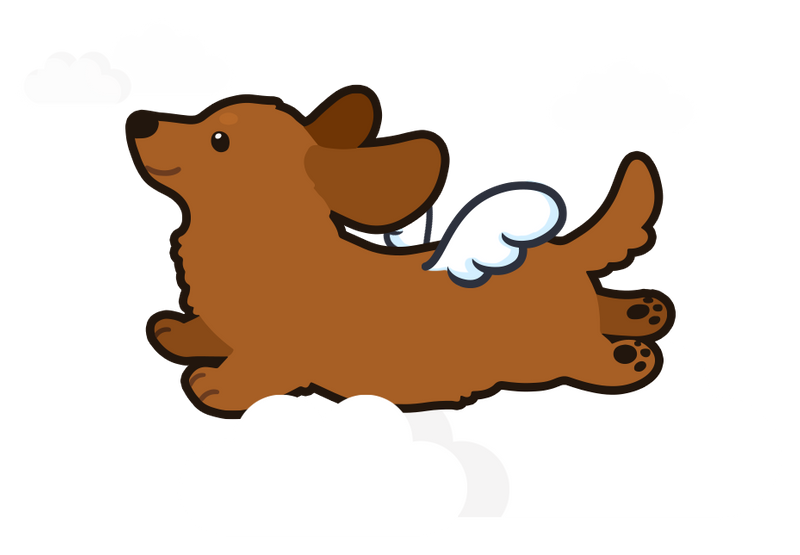 Graphic of puppy flying in the clouds