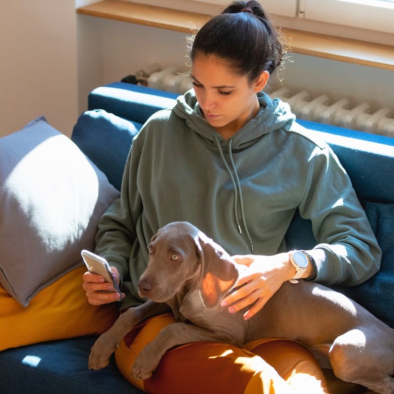 4-Flying Your Puppy Essential Tips for a StressFree Experience.jpg