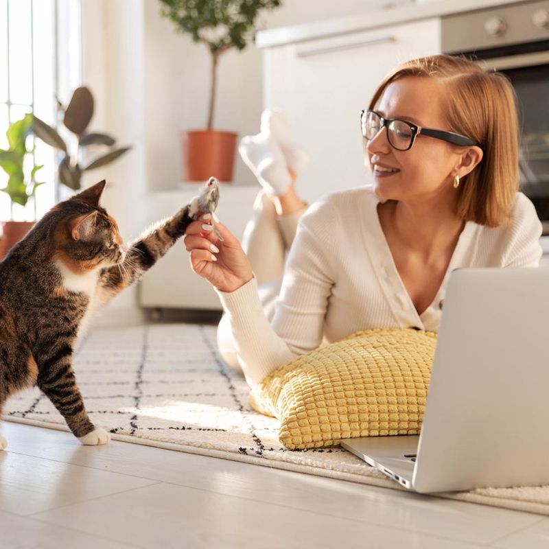 smiling woman using a laptop while petting her cat