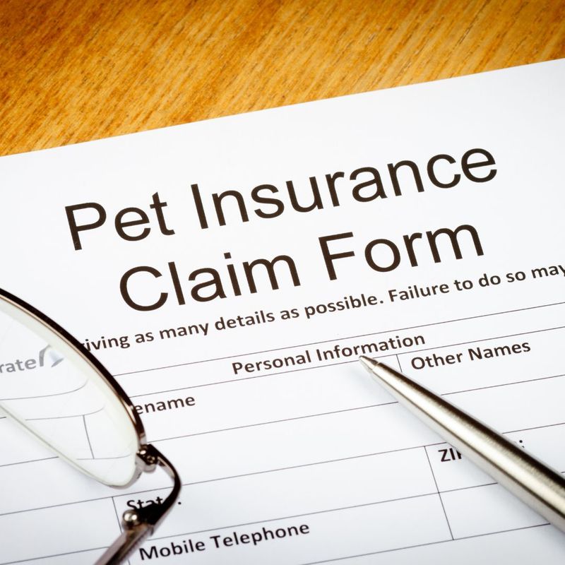 pet insurance form