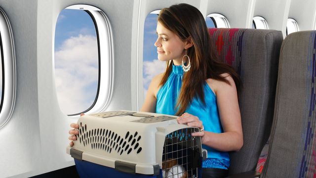 woman on plane with pet