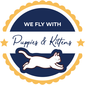 Fuzzy Fur Babies Flight Nanny - Airport To Airport – Hand Delivery