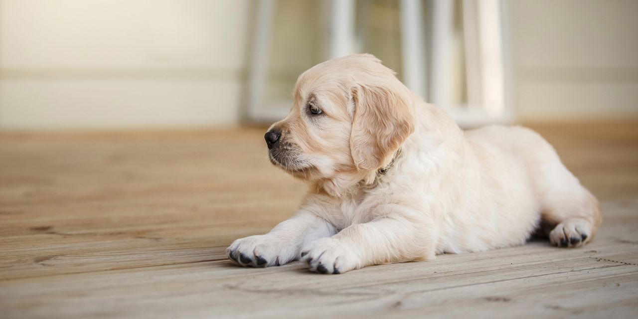 AdobeStock_587099422.jpeg