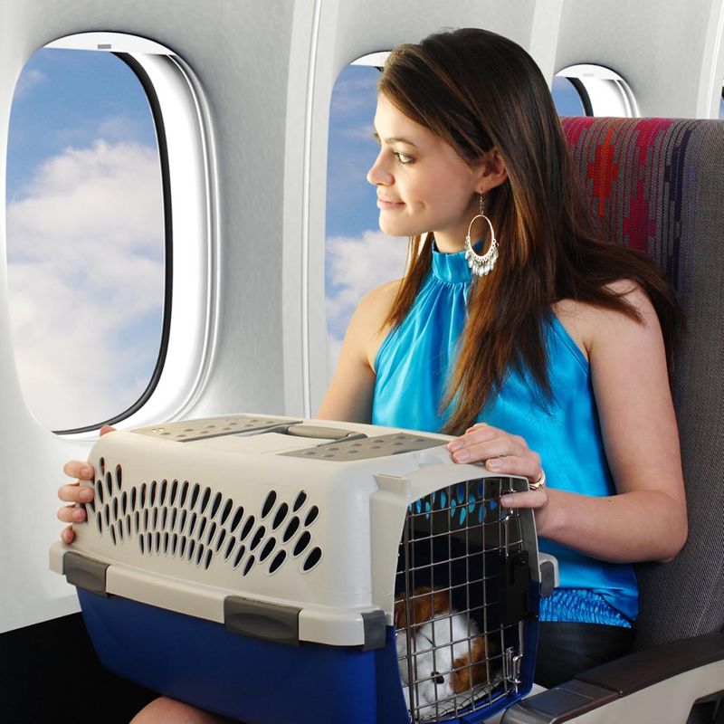 woman on an airplane holding a pet carrier on her lap with a puppy in it