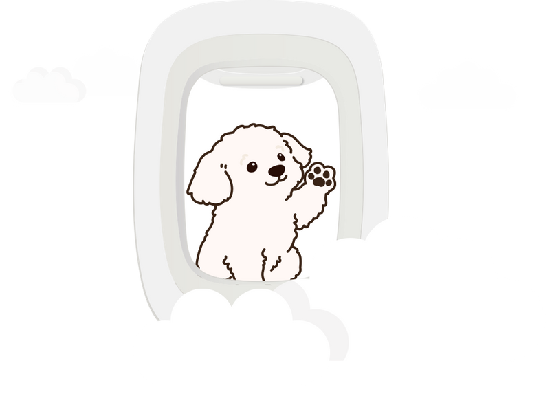 Graphic of puppy looking out plane window