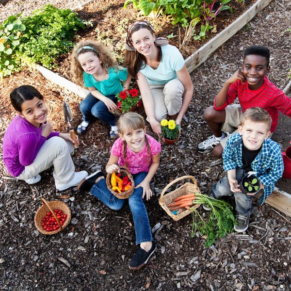 5 students and teacher sitting in a garden picking a variety of vegetables