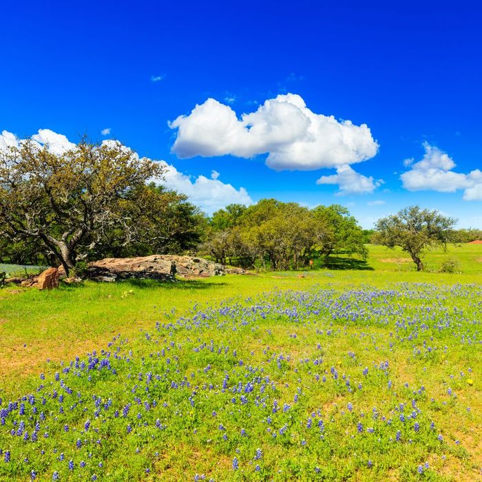 hill country texas