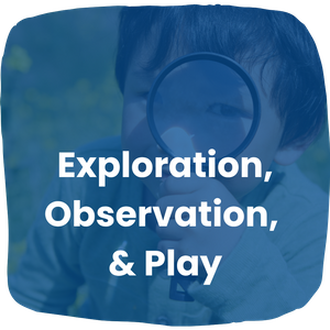 Exploration, Observation, and Play