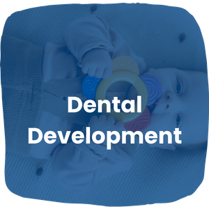 Dental Development