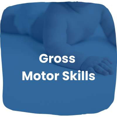 Gross Motor Skills Gross Motor Skills