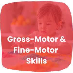Gross-Motor and Fine-Motor Skills