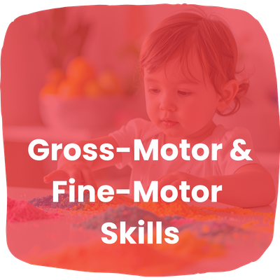 Gross-Motor and Fine-Motor Skills