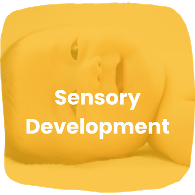 Sensory Development