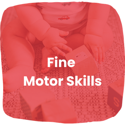 Fine Motor Skills Fine Motor Skills