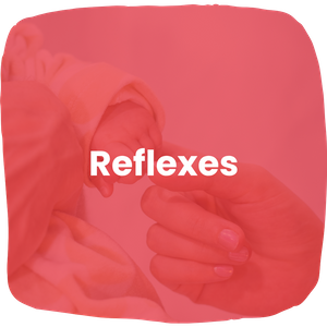 Reflexes