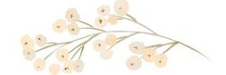 flower graphic