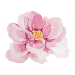 Our Services Icon 2.png