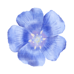 Our Services Icon 4.png