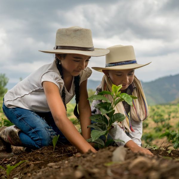 Two kids planting in freshly tilled soil