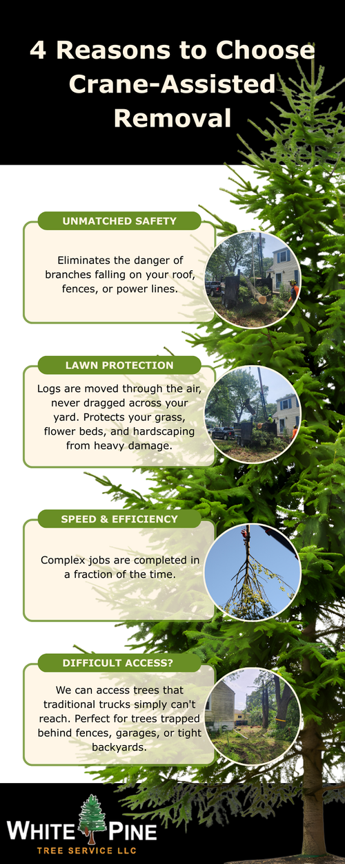 4 Reasons to Choose Crane-Assisted Removal