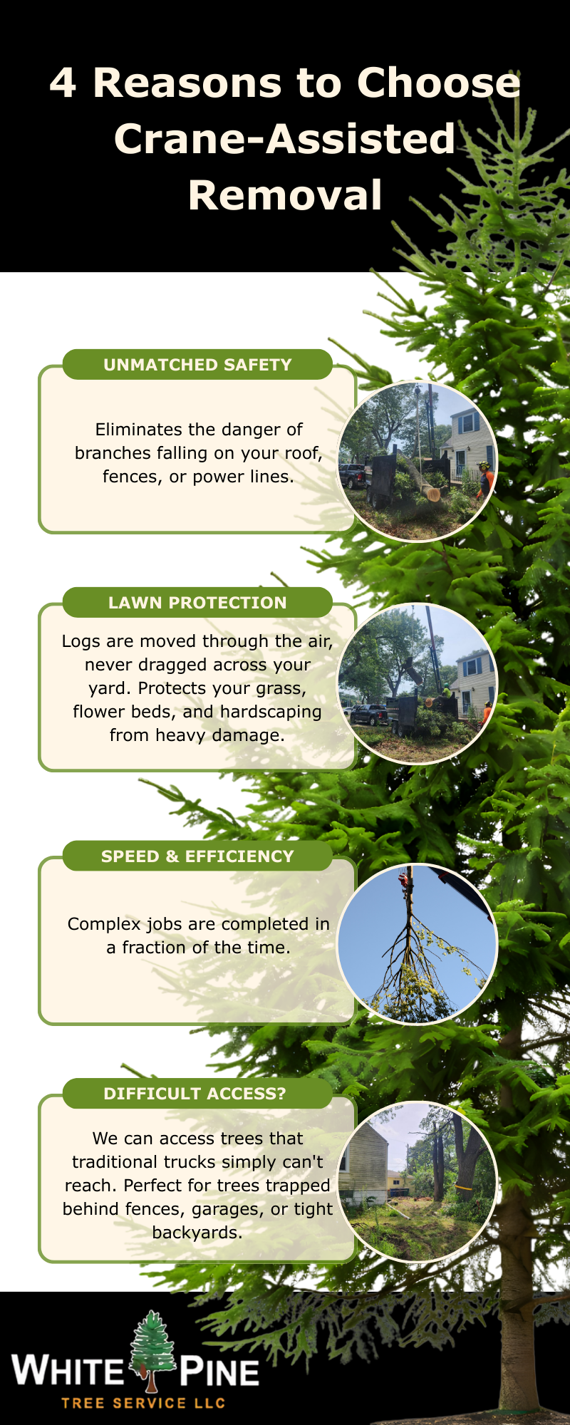 4 Reasons to Choose Crane-Assisted Removal