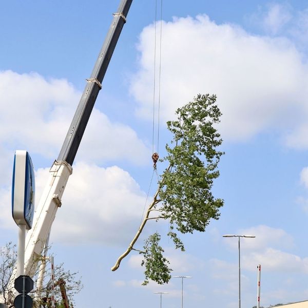 crane lifting large brand over buildings