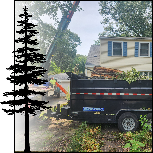 Crane Services1.png