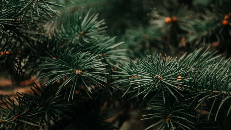 Blog - Hero (1).jpg