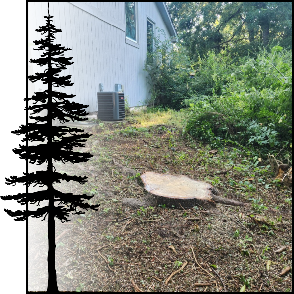 Stump Grinding & Removal1.png