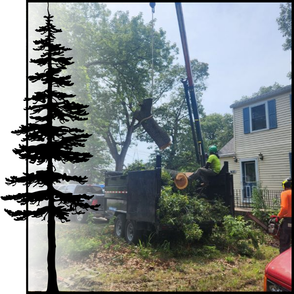 safely using crane to remove chunk of tree