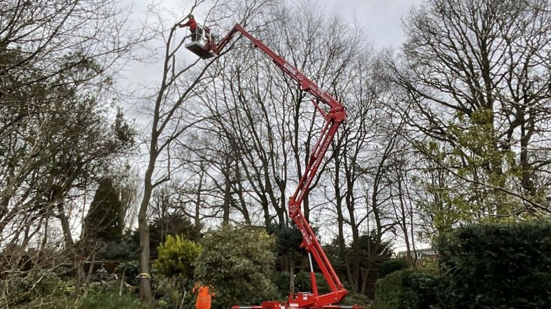 cutting trees from a crane 