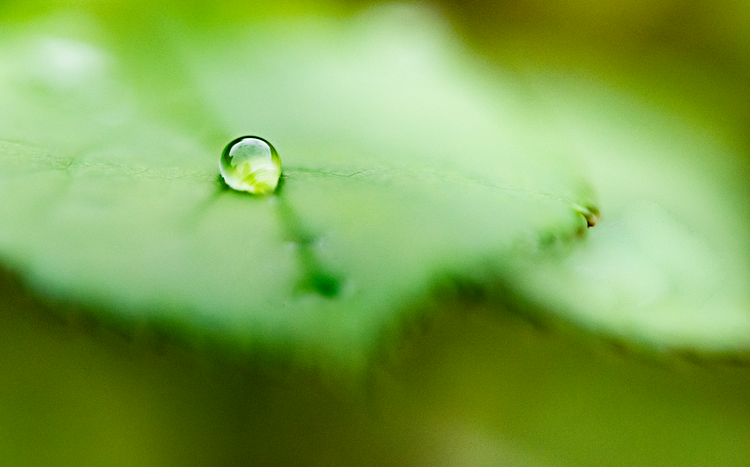Drop-of-water.png