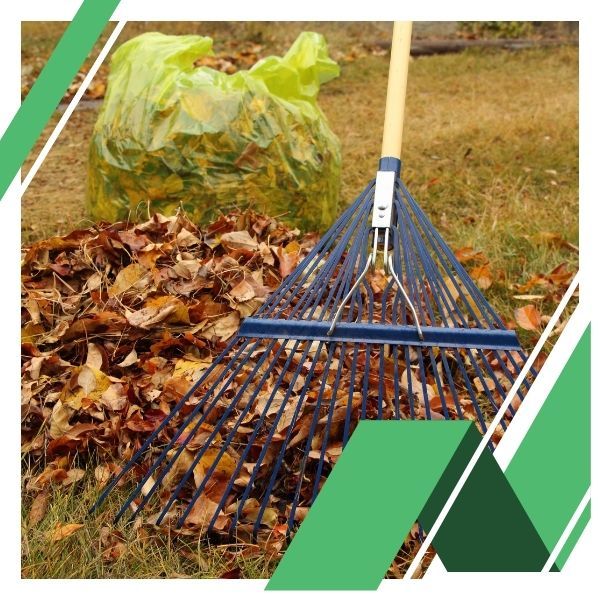 raking and bagging leaves