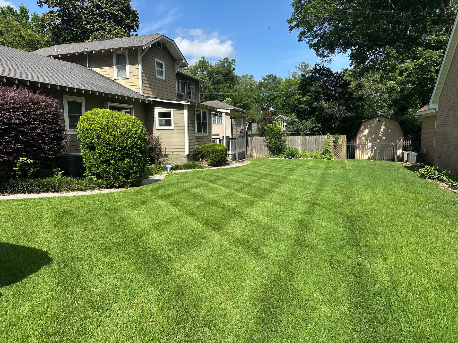 Fresh Cut Grass