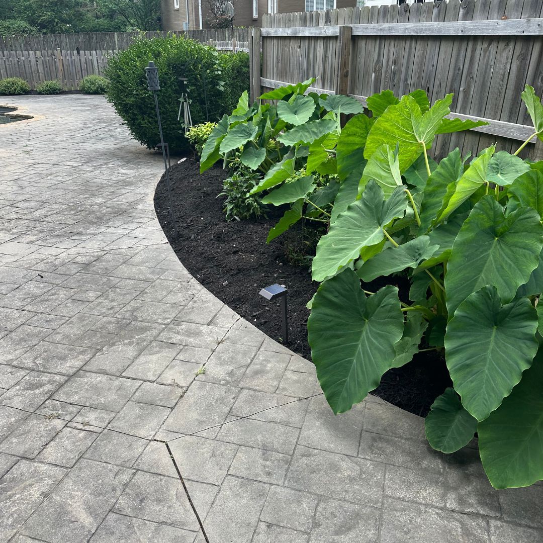 Landscaping with plants on patio with tiles and mulch 