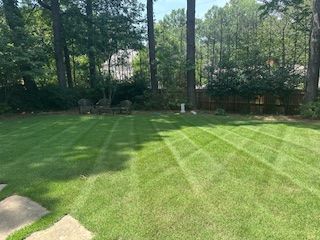 mowed lawn with cut lines