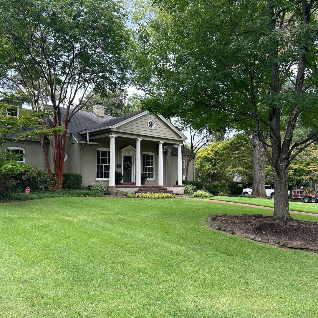 mowed front lawn 